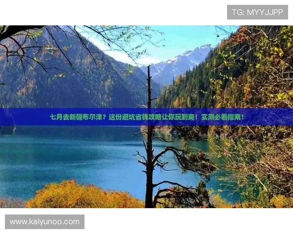 九游体育有哪些跟新大型赛事预热必看防骗避坑指南